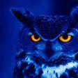 BlueOwl