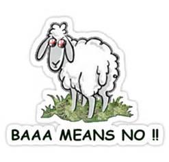 baa means no.jpg