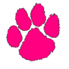 wildcat_in_pink